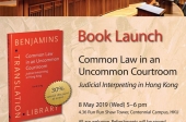 Common Law in an Uncommon Courtroom: Judicial Interpreting in Hong Kong
